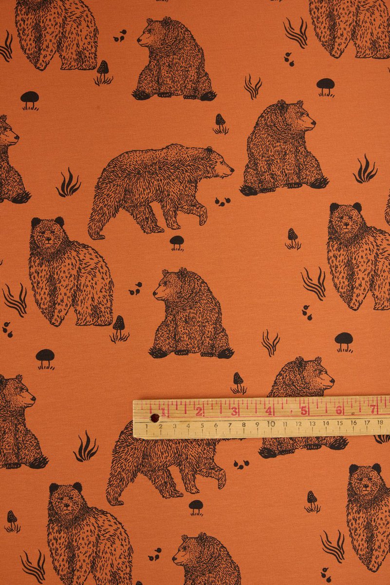 Sweatshirt Knit in Country Bear - Image 4