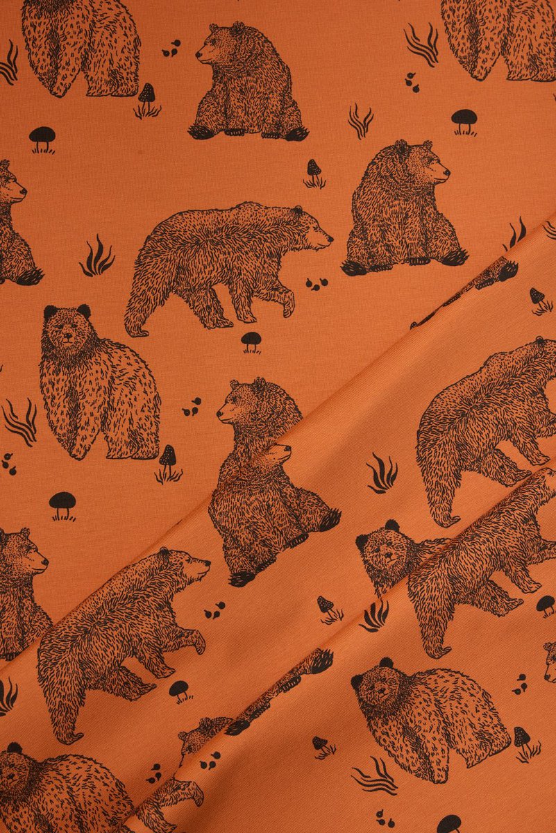 Sweatshirt Knit in Country Bear