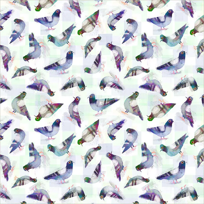 Animal Kingdom - Pigeon Pals QC in White