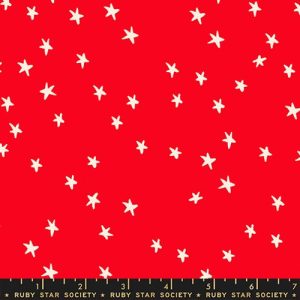 Starry QC in Ladybug