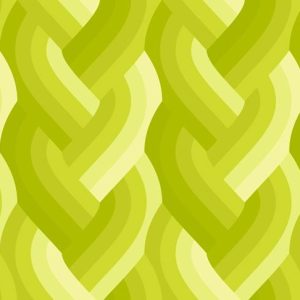 Echo - Braid QC in Acid Green