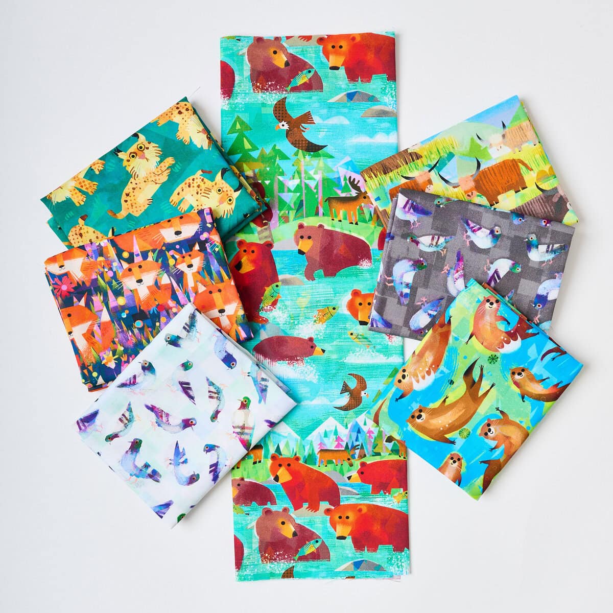 Animal Kingdom - Bathing Bears QC in Turquoise - Image 4