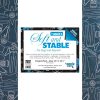 Soft N Stable Project Pack White
