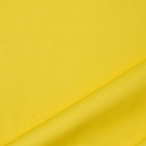 Big Sur Canvas in Yellow