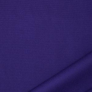 Big Sur Canvas in Purple