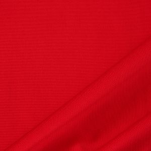 Big Sur Canvas in Red