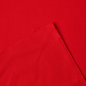 Big Sur Canvas in Red - Image 3
