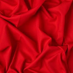 Big Sur Canvas in Red - Image 4